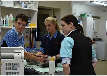 Kialla Veterinary Clinic