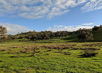 Kiewa River Walking Track