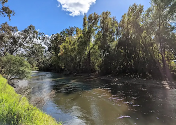 Kiewa River Walking Track