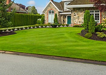 Kimberlie & Co Ground Control