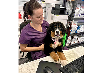 Kings Road Veterinary Surgery