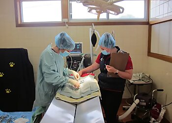 Kippax Veterinary Hospital