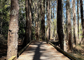 Kooloonbung Creek Nature Reserve