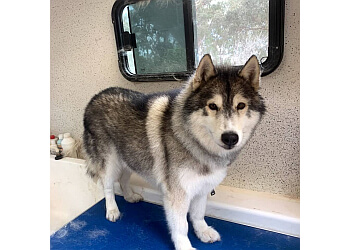 Kylie's Pampered Pets