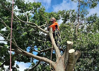 LRB Tree Services