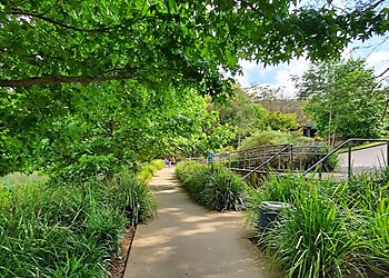 Lake Alexandra Reserve