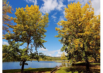 Lake Canobolas Reserve