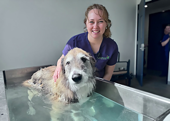 Lake Road Veterinary Hospital