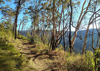 Lamington National Park