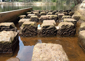 Lane Cove National Park