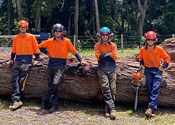 Langham's Tree Services