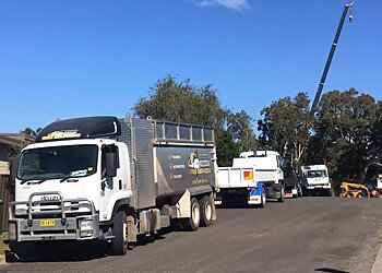 Coffs Harbour Tree Services Langham's Tree Services image 1