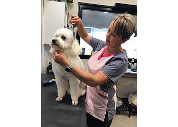 Lara's Shear 'N' Shed