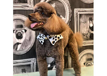 Lara's Shear 'N' Shed