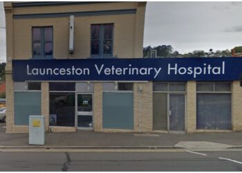 Launceston Veterinary Hospital