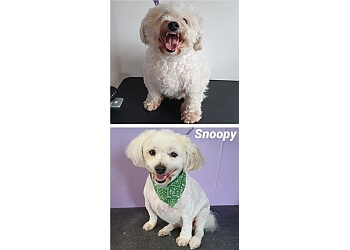 Lauren's Grooming Room