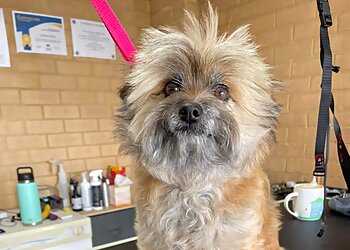 Lauren's K9 Clip & Clean