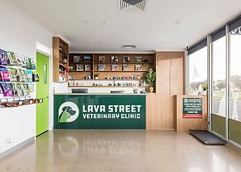 Lava Street Veterinary Clinic