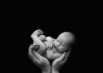 Life In Focus Photography