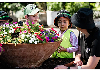 Little Scholars George Street