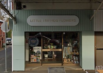 Little Triffids Flowers