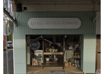 Little Triffids Flowers