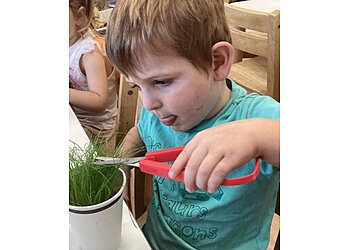 Little Zebra Rockhampton