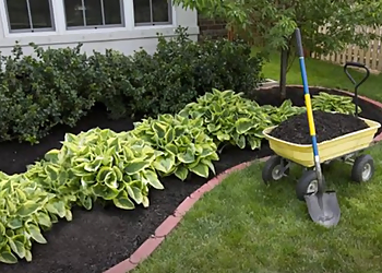 Local Landscaping QLD Toowoomba Co