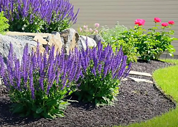 Local Landscaping QLD Toowoomba Co