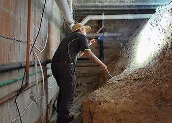 Local Pest Experts Port Macquarie