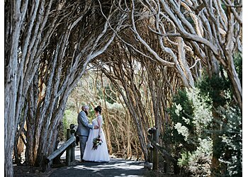 Louis Creative Studio