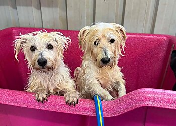 Louise's Pet Grooming