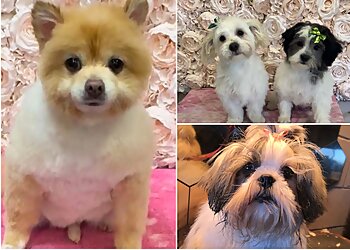 Louise's Pet Grooming