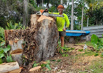 Luke's Tree Services