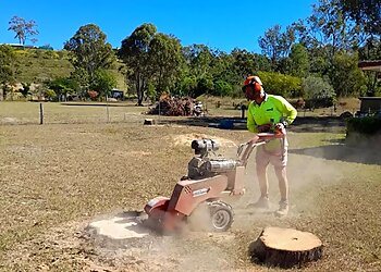 Luke's Tree Services