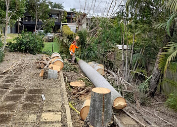 Luke's Tree Services