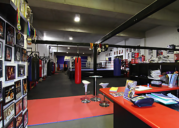 M1FC Mixed Martial Arts