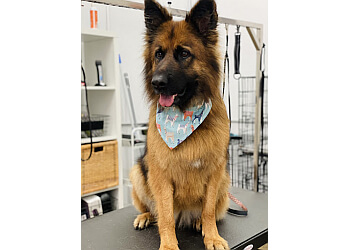 M.Y. Dog Grooming Salon