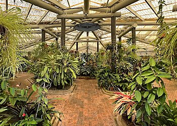 Mackay Orchid House