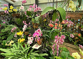 Mackay Orchid House