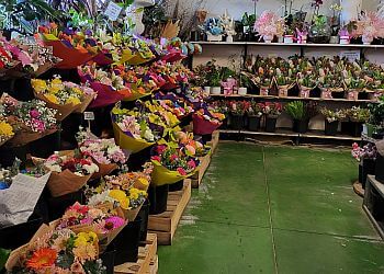 Mai Flower Supplies