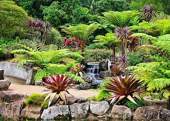 Maleny Botanic Gardens