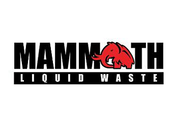Mammoth Liquid Waste