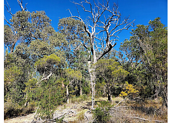 Manea Park Walking Trail
