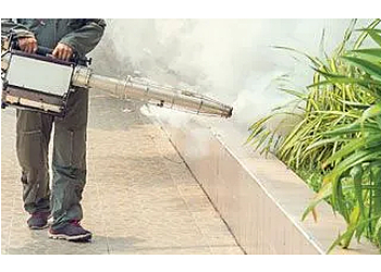 Mark pest control Bomaderry