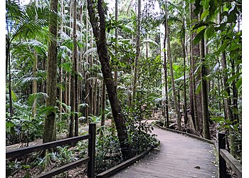 Sunshine Coast Hiking Trails  Mary Cairncross Scenic Reserve image 1