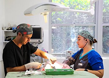 Mayfield Veterinary Hospital