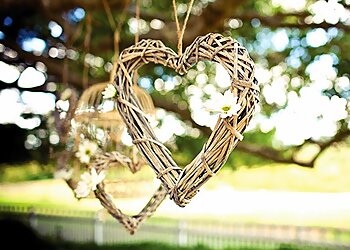 McKay Wedding Photography