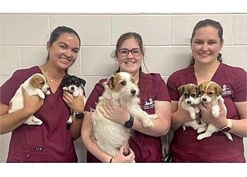 Melrose Animal Hospital