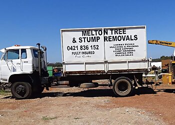 Melton Tree Services Melton Tree and Stump Removals image 1